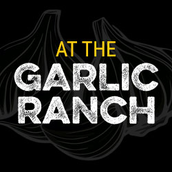 Garlic Ranch
